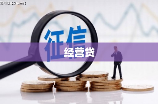 阜城经营贷