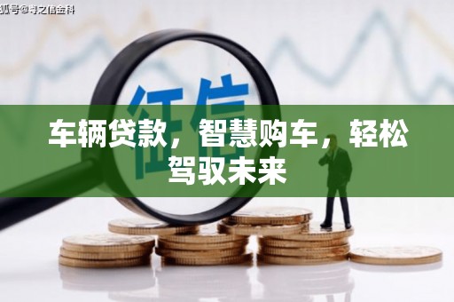 阜城车辆贷款，智慧购车，轻松驾驭未来