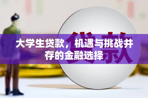 阜城大学生贷款，机遇与挑战并存的金融选择
