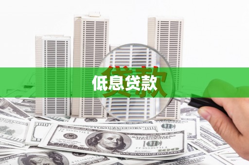 阜城低息贷款
