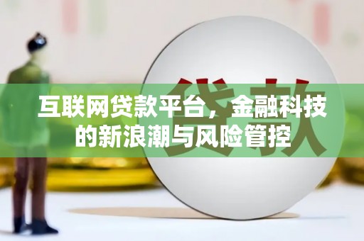 阜城互联网贷款平台，金融科技的新浪潮与风险管控