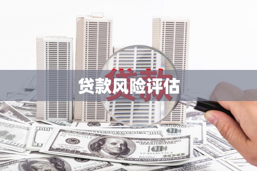 阜城贷款风险评估