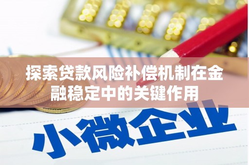 阜城探索贷款风险补偿机制在金融稳定中的关键作用
