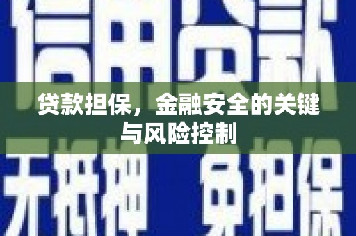 阜城贷款担保，金融安全的关键与风险控制