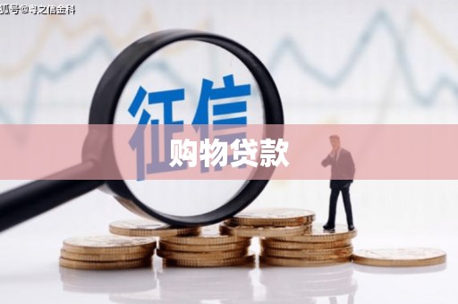 阜城购物贷款