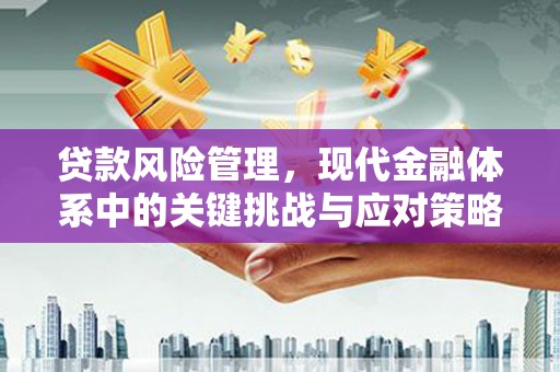阜城贷款风险管理，现代金融体系中的关键挑战与应对策略