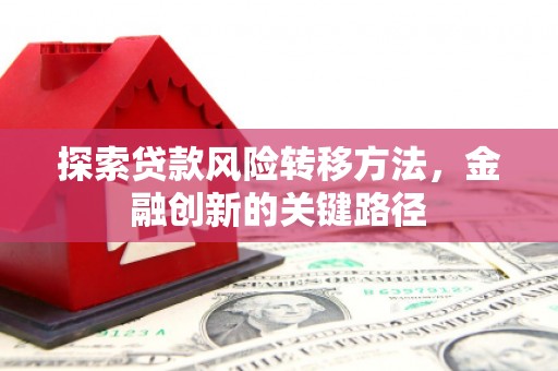 阜城探索贷款风险转移方法，金融创新的关键路径