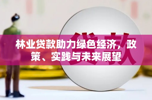 阜城林业贷款助力绿色经济，政策、实践与未来展望