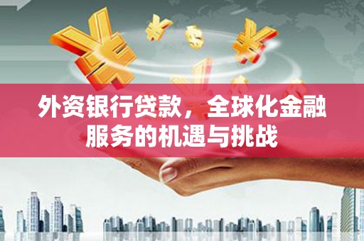 阜城外资银行贷款，全球化金融服务的机遇与挑战