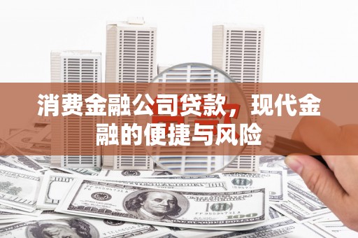 阜城消费金融公司贷款，现代金融的便捷与风险