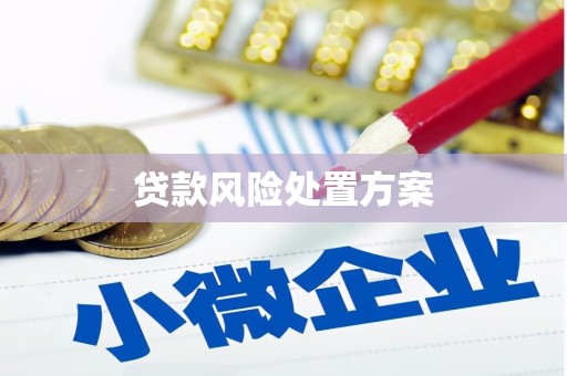 阜城贷款风险处置方案