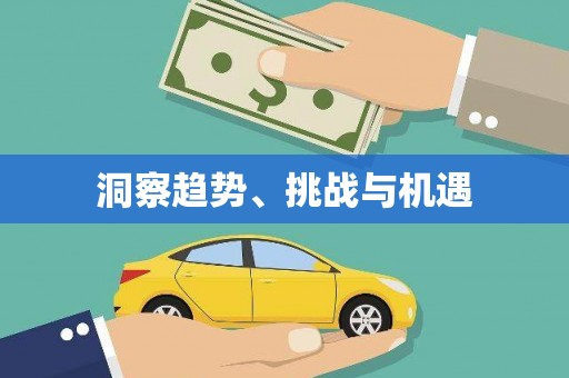 阜城洞察趋势、挑战与机遇