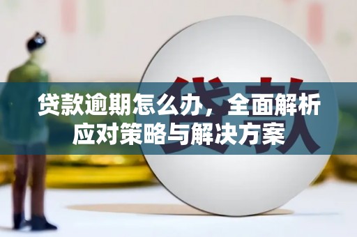 阜城贷款逾期怎么办，全面解析应对策略与解决方案