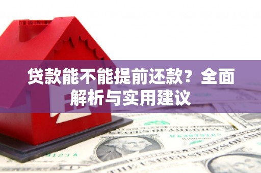 阜城贷款能不能提前还款？全面解析与实用建议