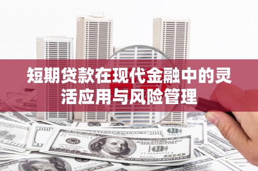 阜城短期贷款在现代金融中的灵活应用与风险管理