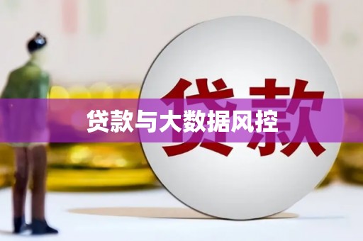 阜城贷款与大数据风控