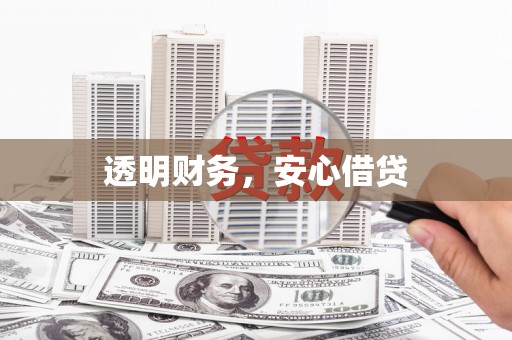 阜城透明财务，安心借贷