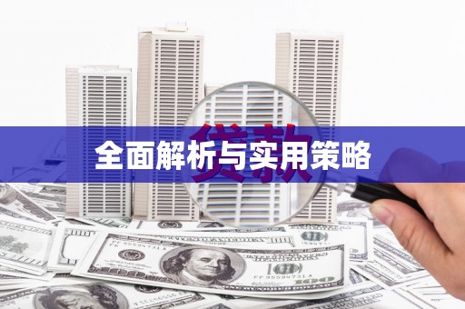 阜城全面解析与实用策略
