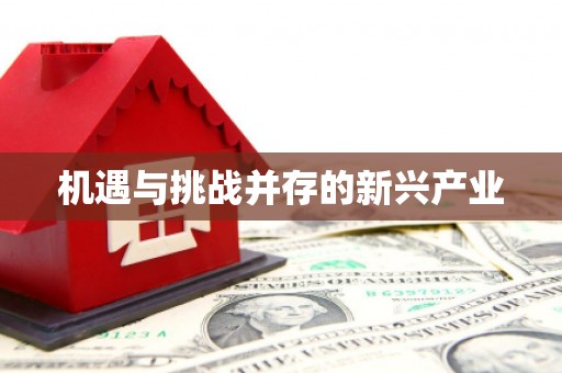 阜城机遇与挑战并存的新兴产业