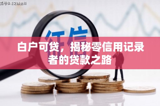 阜城白户可贷，揭秘零信用记录者的贷款之路