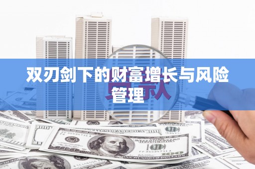 阜城双刃剑下的财富增长与风险管理