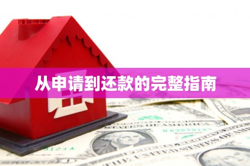 阜城从申请到还款的完整指南