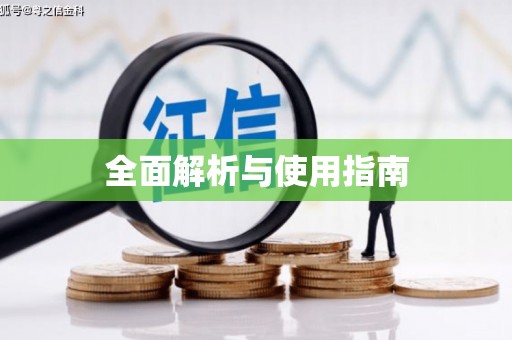 阜城全面解析与使用指南