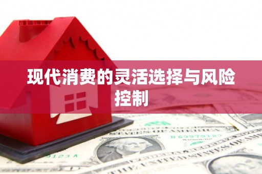 阜城现代消费的灵活选择与风险控制