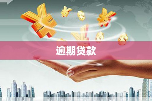 阜城逾期贷款