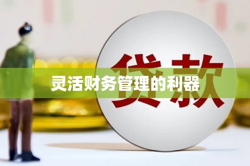 阜城灵活财务管理的利器