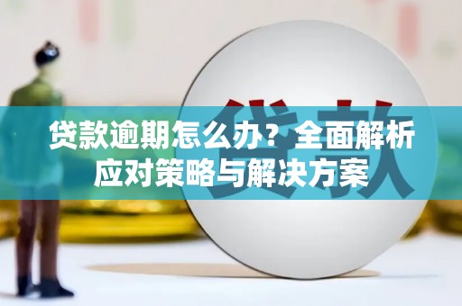 阜城贷款逾期怎么办？全面解析应对策略与解决方案