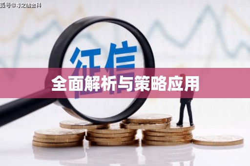 阜城全面解析与策略应用