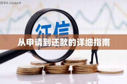 阜城从申请到还款的详细指南