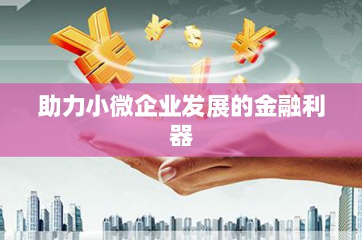 阜城助力小微企业发展的金融利器