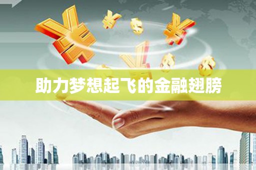 阜城助力梦想起飞的金融翅膀