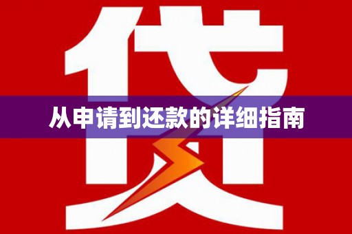 阜城从申请到还款的详细指南
