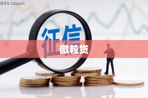 阜城微粒贷