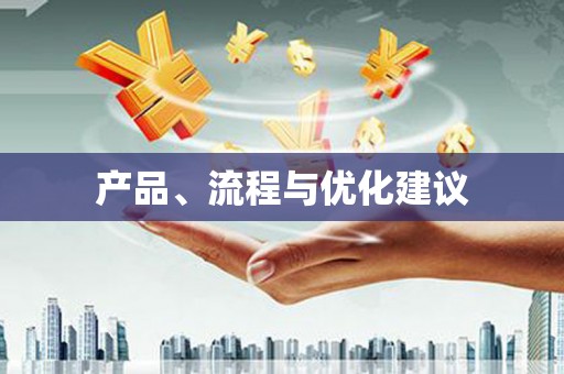 阜城产品、流程与优化建议