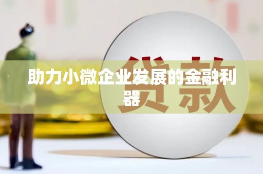 阜城助力小微企业发展的金融利器