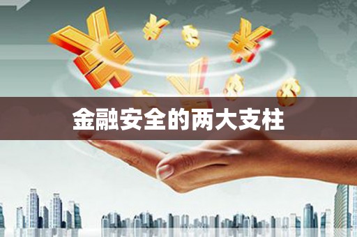 阜城金融安全的两大支柱