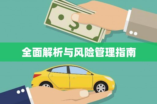 阜城全面解析与风险管理指南