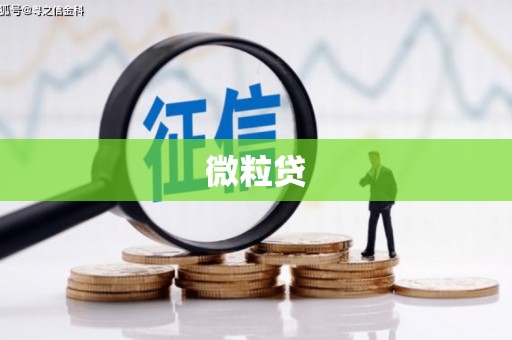 阜城微粒贷
