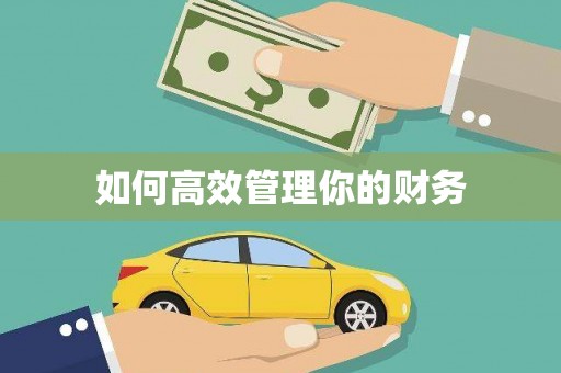 阜城如何高效管理你的财务