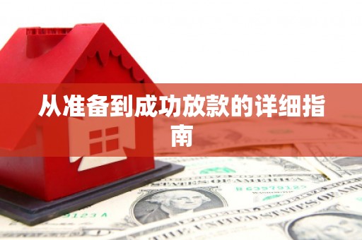 阜城从准备到成功放款的详细指南