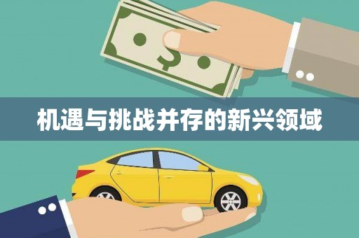 阜城机遇与挑战并存的新兴领域