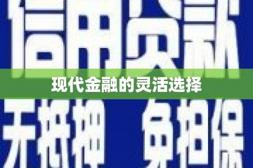 阜城现代金融的灵活选择
