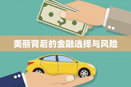 阜城美丽背后的金融选择与风险