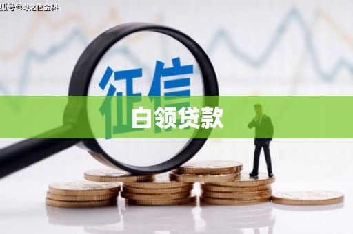 阜城白领贷款