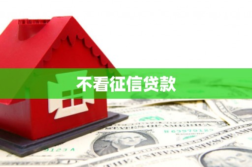 阜城不看征信贷款