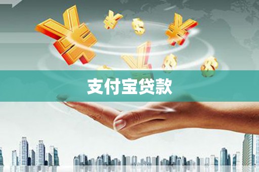 阜城支付宝贷款